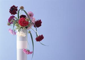 東京のリフォーム成功ガイド2025：性能向上とデザイン性を両立させる最新テクニック