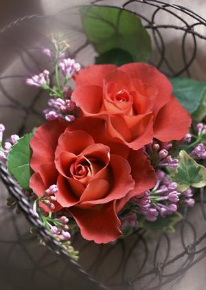 愛知県で骨董品鑑定をしてもらうなら